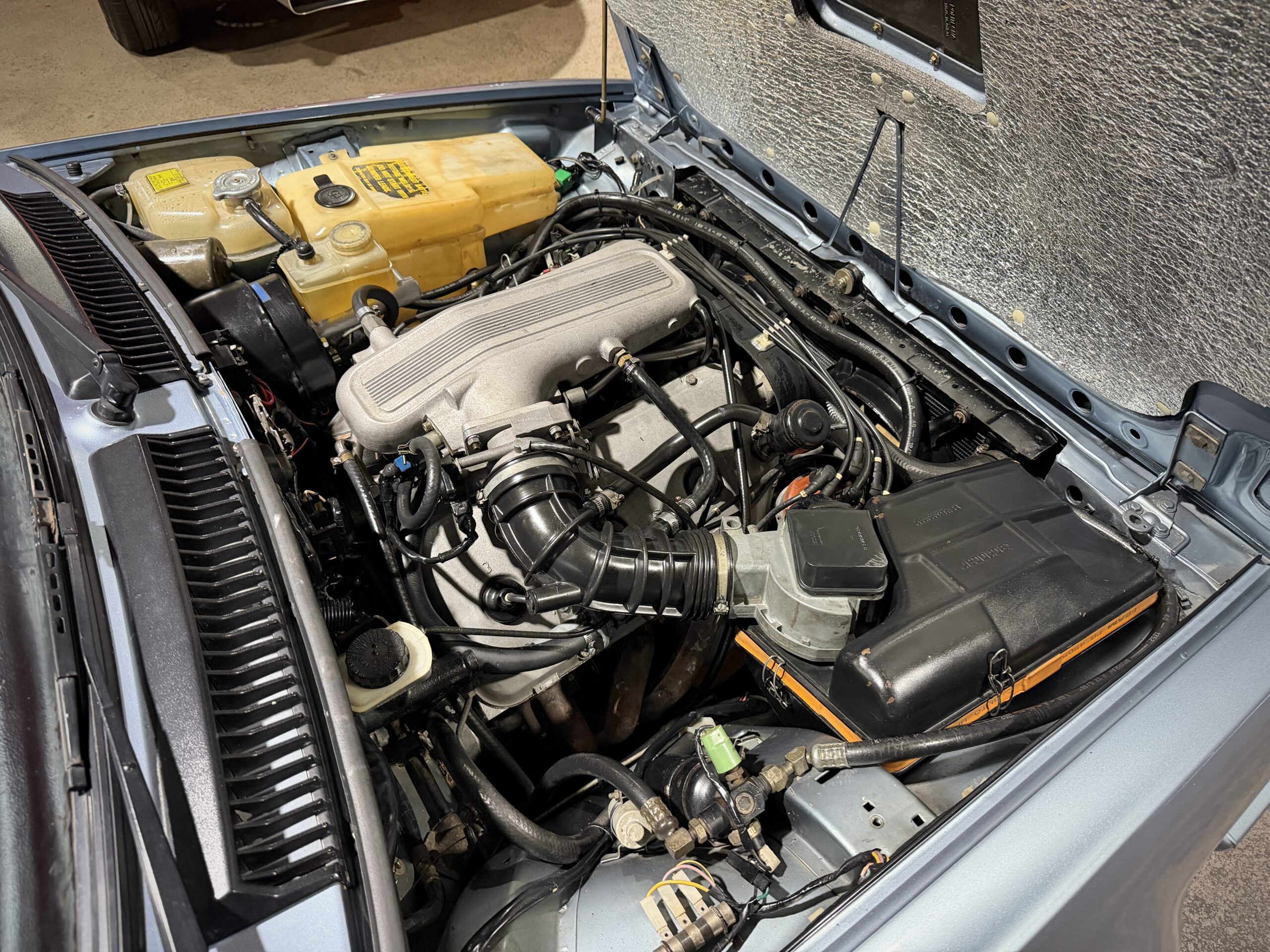 1984 Alfa Romeo GTV-6